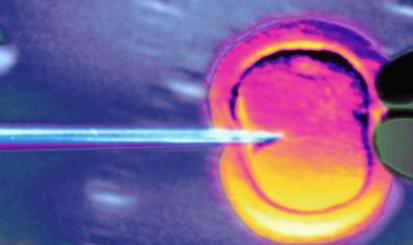 1531990857704246pV1S.png 圖片15.png