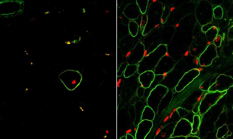 1531992342621888uvJr.png 圖片49.png