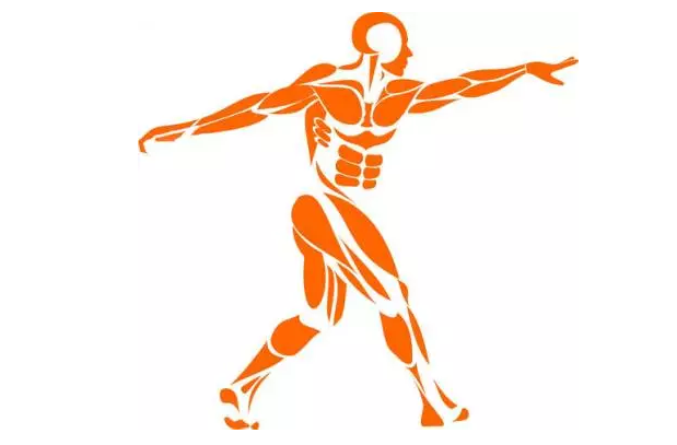 1531995191476448Z2l5.png 19.png