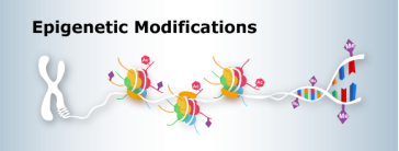 1531995942695962irs6.png 49.png