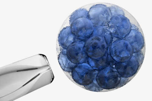 1532051357292516t69d.png 圖片176.png