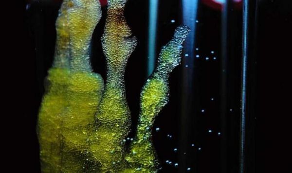 1557798269556156W9yj.jpg 20190512132625912_s.jpg