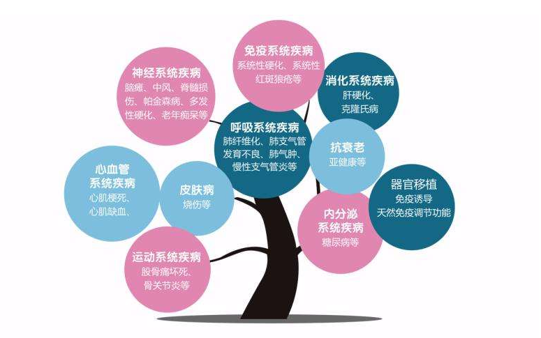 156393244341538409sM.png 圖片5.png